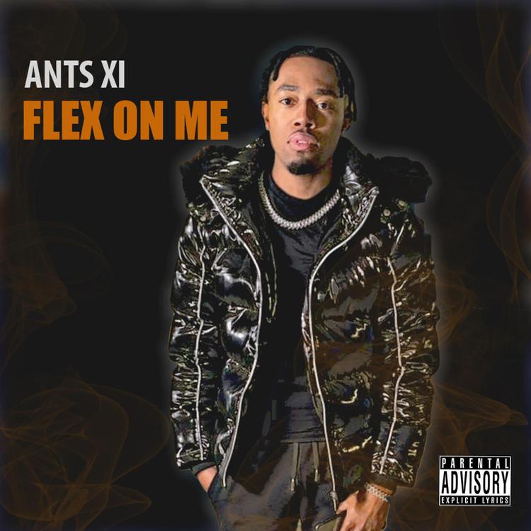 Ants XI's avatar image