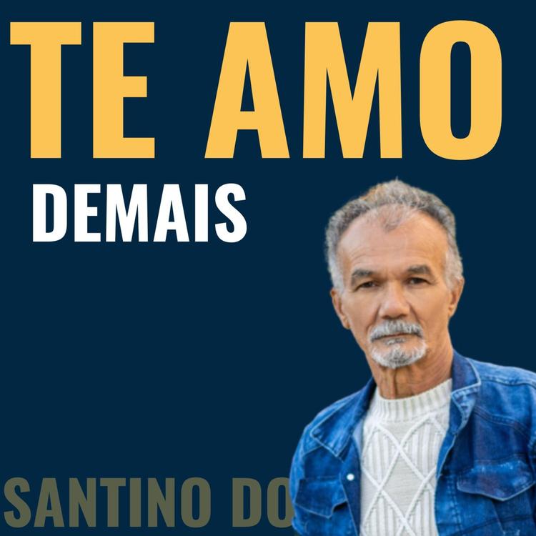 Santino do Forró's avatar image