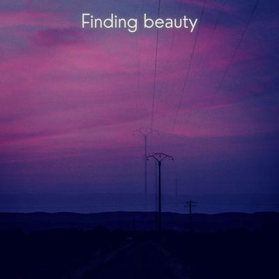 Finding Beauty's cover