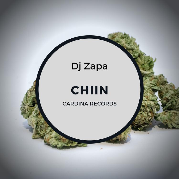 DJ Zapa's avatar image