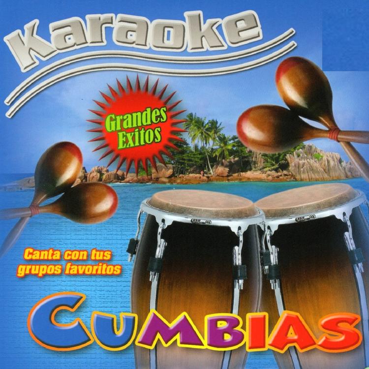 Karaoke Grandes Exitos's avatar image