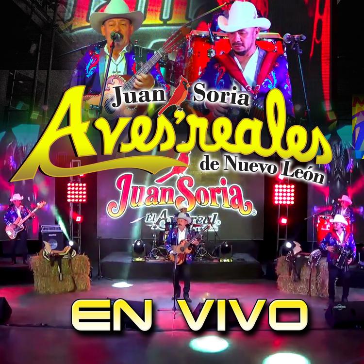 Juan Soria y Aves Reales de Nuevo Leon's avatar image