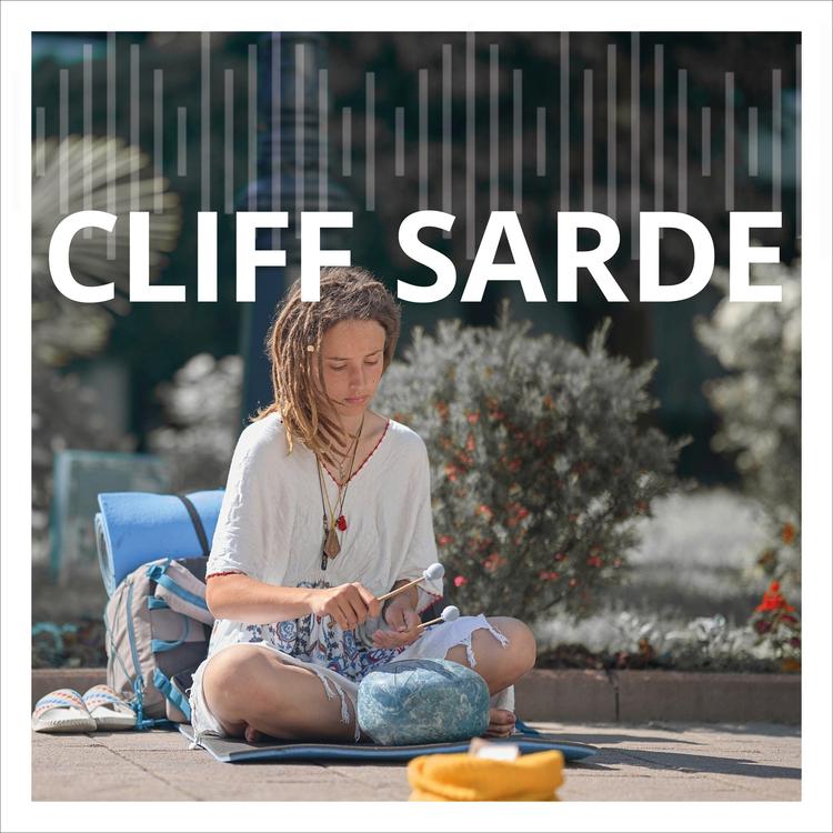 Cliff Sarde's avatar image