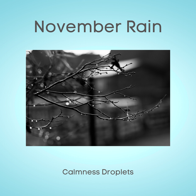 November Rain's avatar image