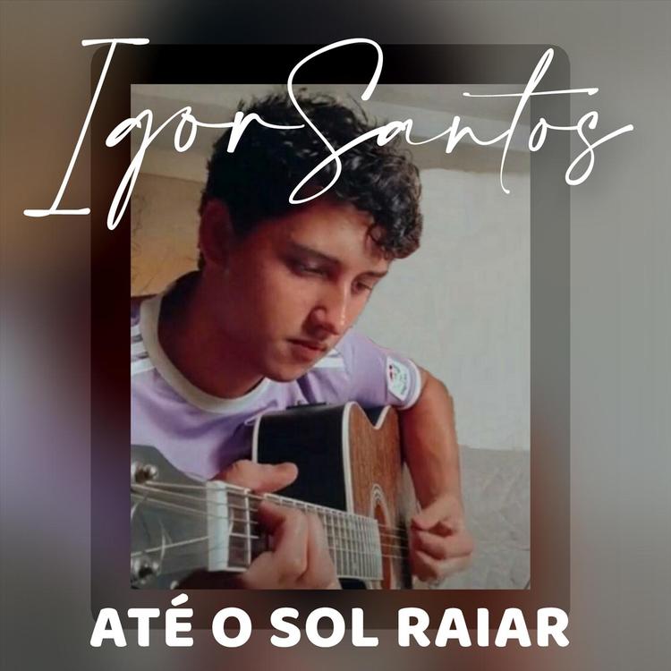 Igor Santos's avatar image