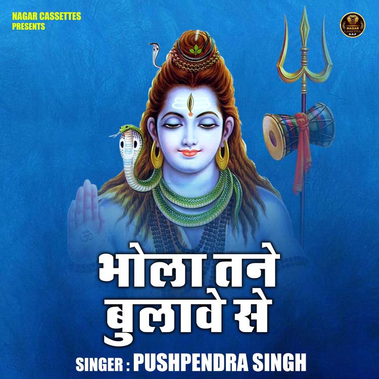 Pushpendra Singh's avatar image