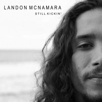 Stony Haze By Landon McNamara's cover