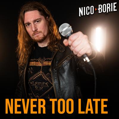 Never Too Late (Español) (Cover)'s cover