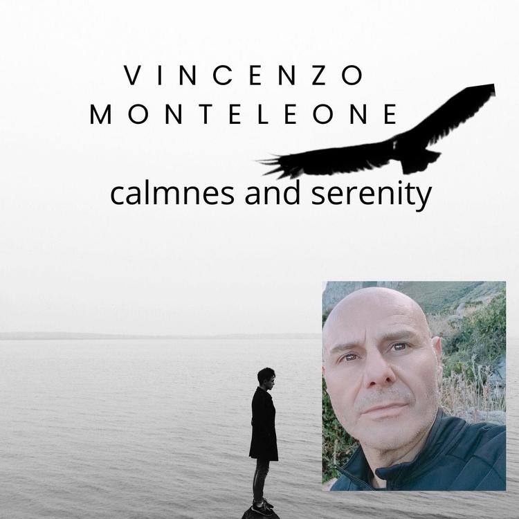Vincenzo Monteleone's avatar image