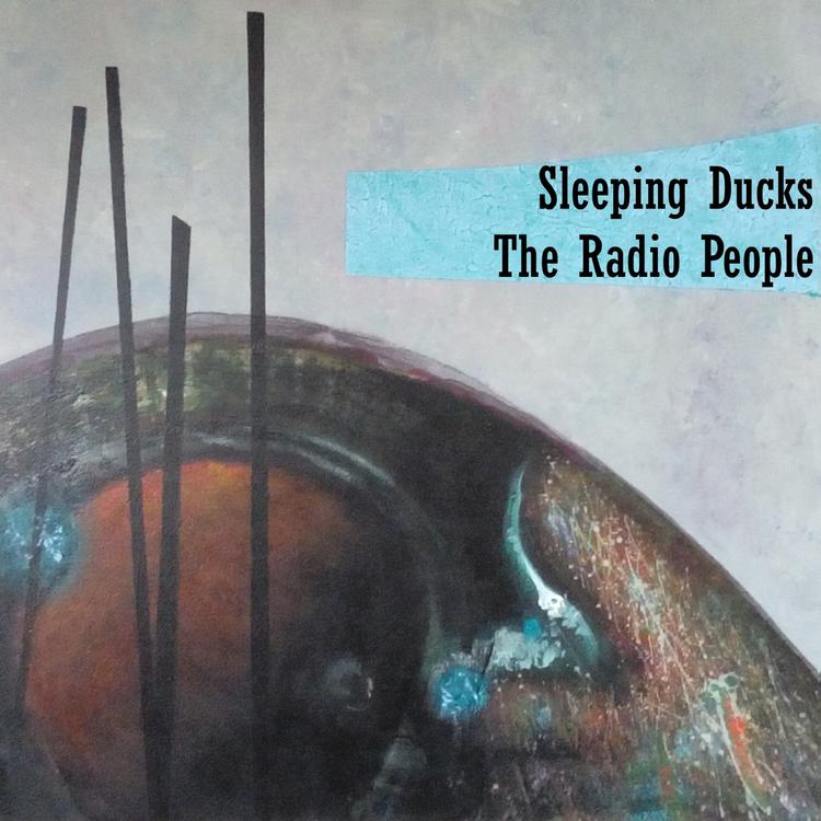 Sleeping Ducks's avatar image