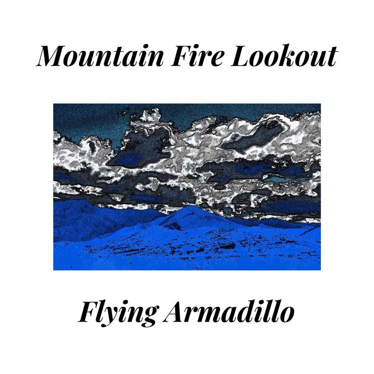 Flying Armadillo's avatar image