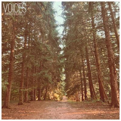 Voices By Andrew Gialanella's cover