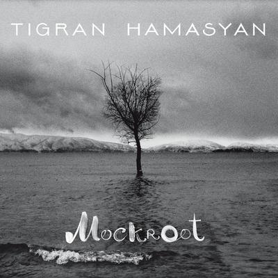 Entertain Me By Tigran Hamasyan's cover