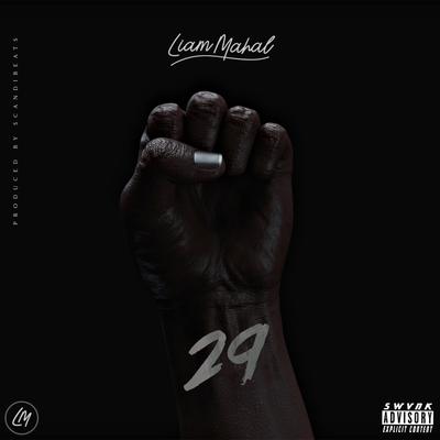 29 By Liam Mahal's cover