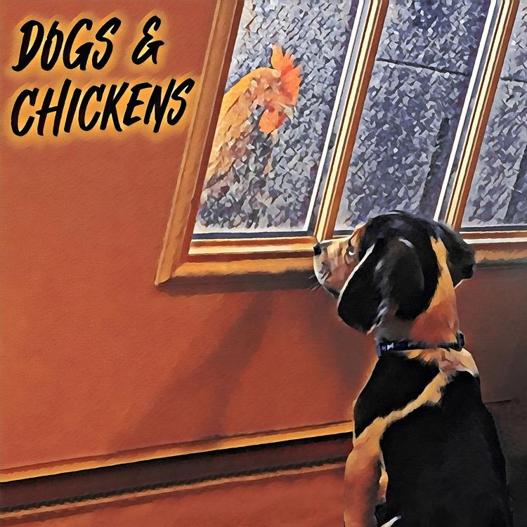 DOGS AND CHICKENS's avatar image