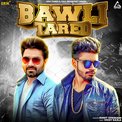 Bawli Tared By Sumit Goswami's cover