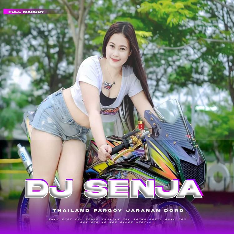DJ SENJA's avatar image