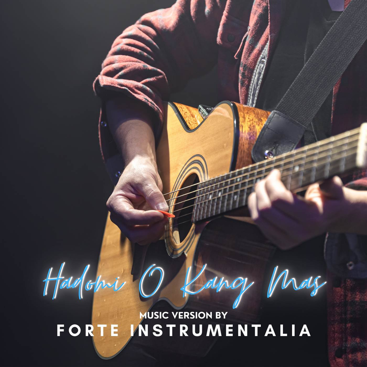 Forte Instrumentalia's avatar image