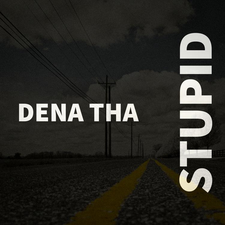 Dena Tha's avatar image