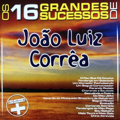 Os 16 Grandes Sucessos de João Luiz Corrêa - Série +'s cover