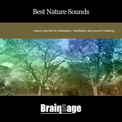 Forest Brook By Brainsage's cover