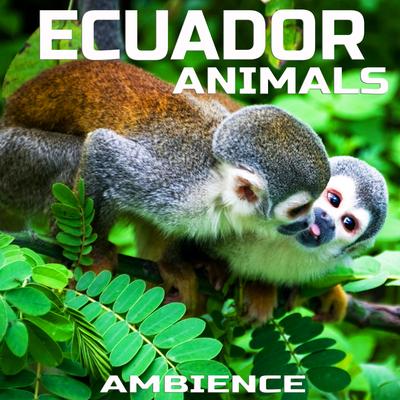 Ecuador Animals Ambience's cover