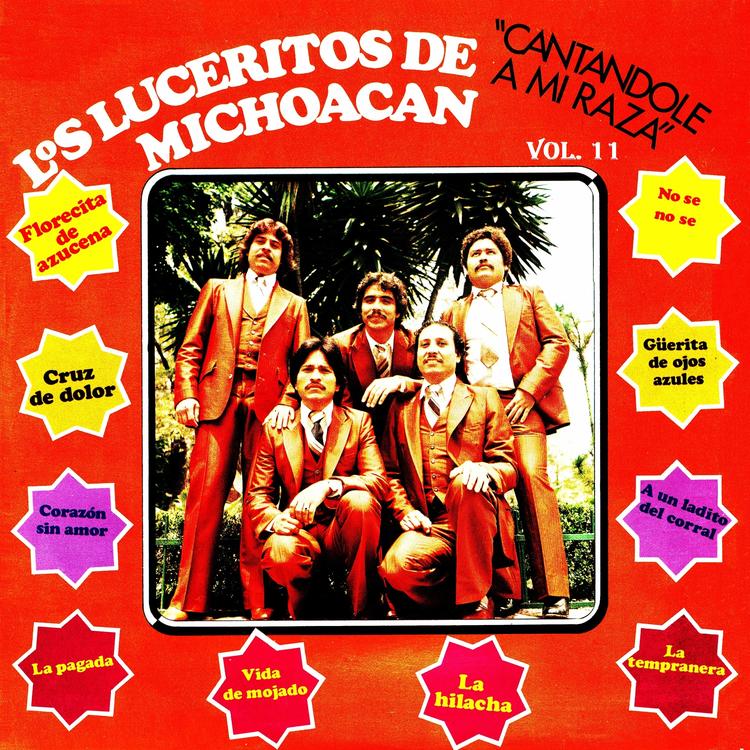 Los Luceritos De Michoacan's avatar image