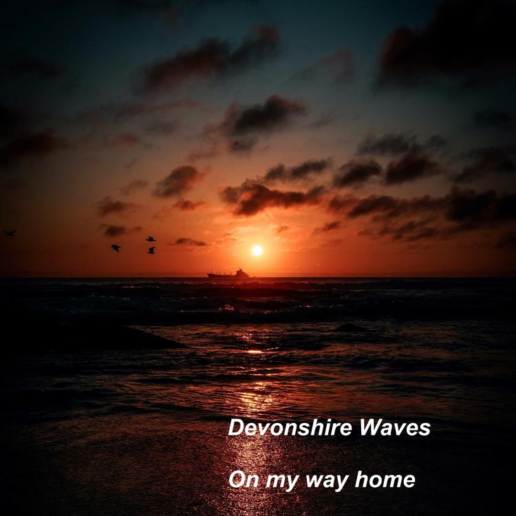 Devonshire Waves's avatar image