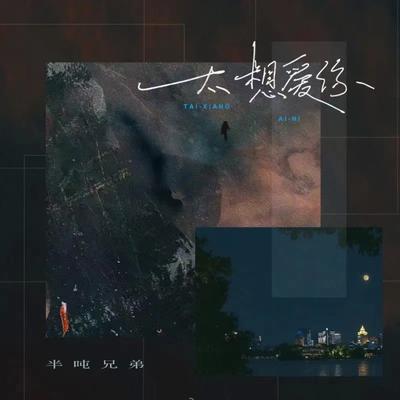 太想爱你's cover