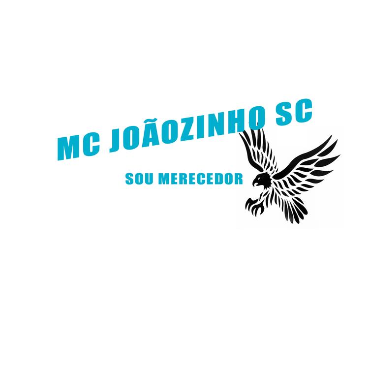 MC Joãozinho SC's avatar image
