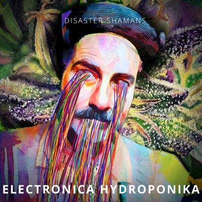 Electronica Hydroponika's cover