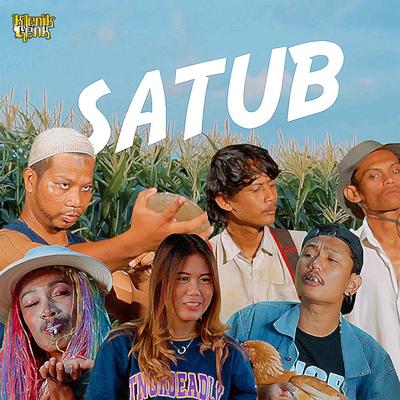 Satub's cover