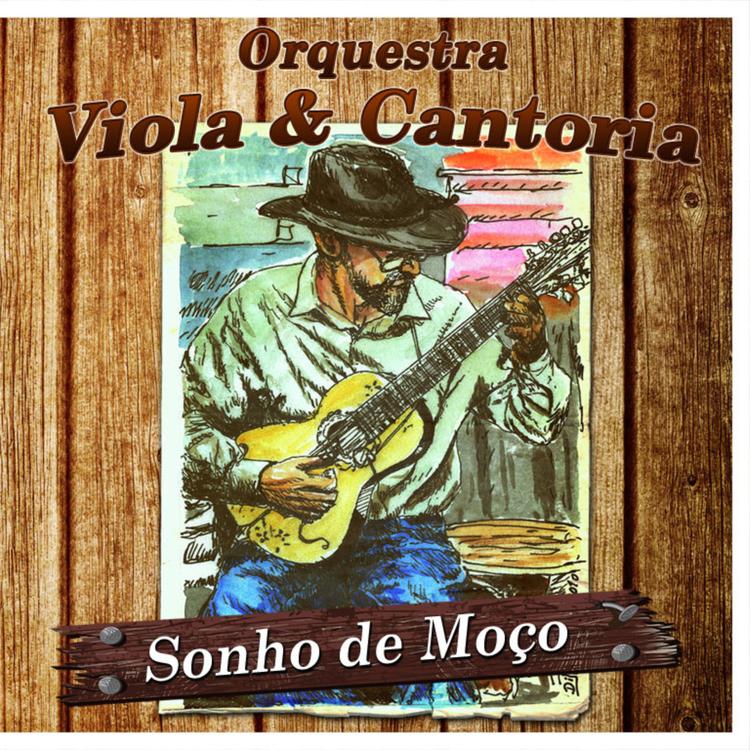 Orquestra Viola e Cantoria's avatar image