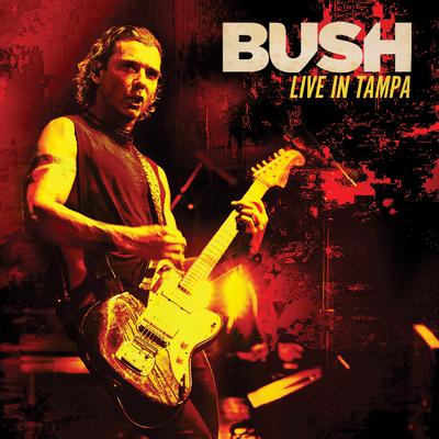 Live in Tampa's cover