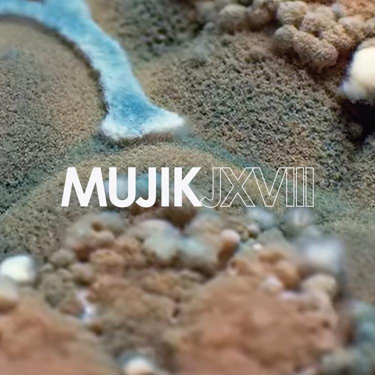 Mujik's avatar image