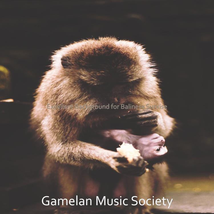 Gamelan Music Society's avatar image