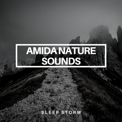 Lunch Break Storm By Amida Nature Sounds's cover