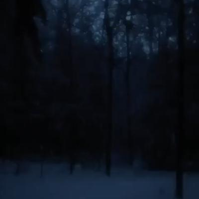 dark snowy night By daniel.mp3's cover