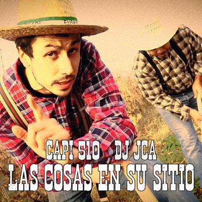 Las Cosas en Su Sitio's cover