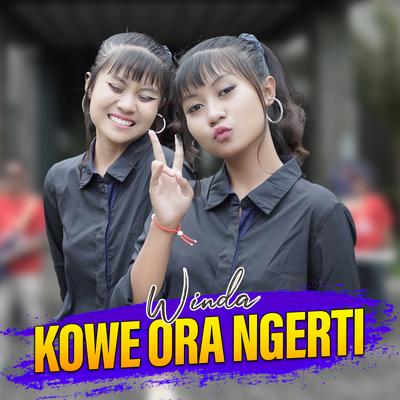 Kowe Ora Ngerti's cover