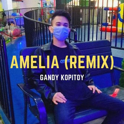 Amelia (Remix)'s cover