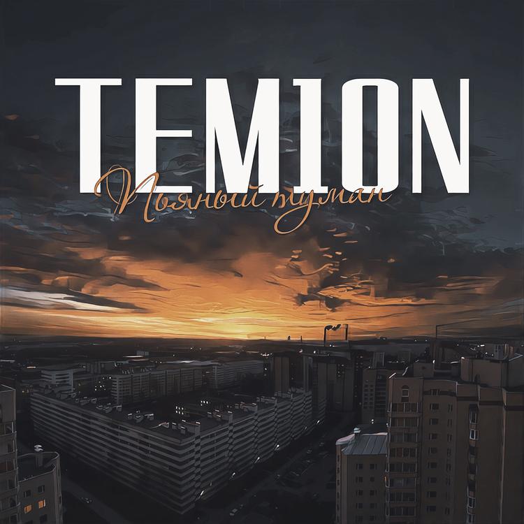 Tem1on's avatar image