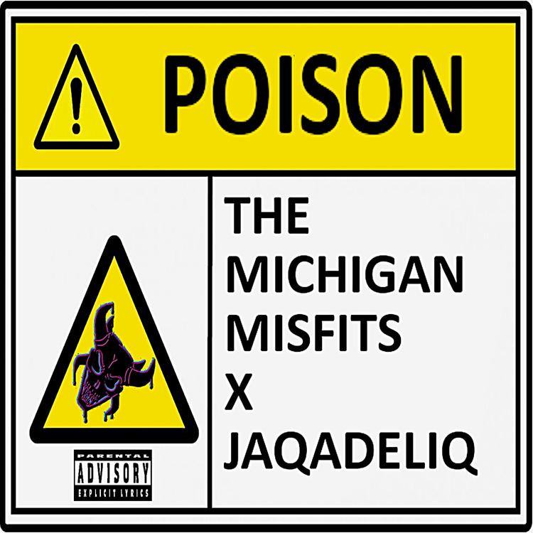 The Michigan Misfits's avatar image