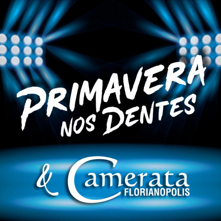 Primavera nos Dentes's avatar image