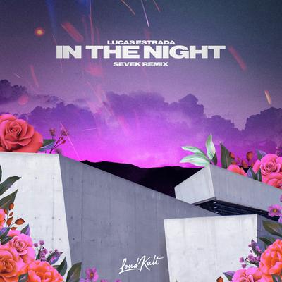 In the Night (Sevek Remix)'s cover