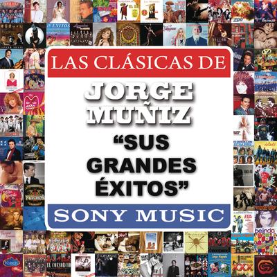 Sus Grandes Exitos's cover