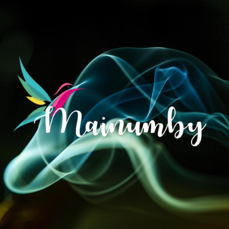 Mainumby's avatar image