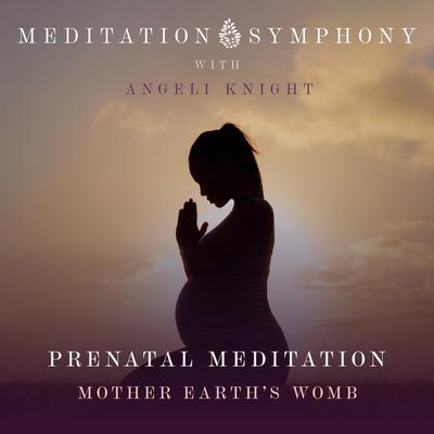 Prenatal Meditation - Mother Earth's Womb's cover