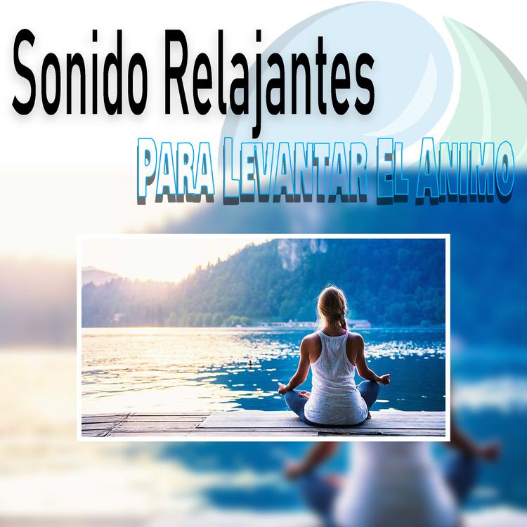 Sonido De Tranquilidad Y Serenidad's avatar image