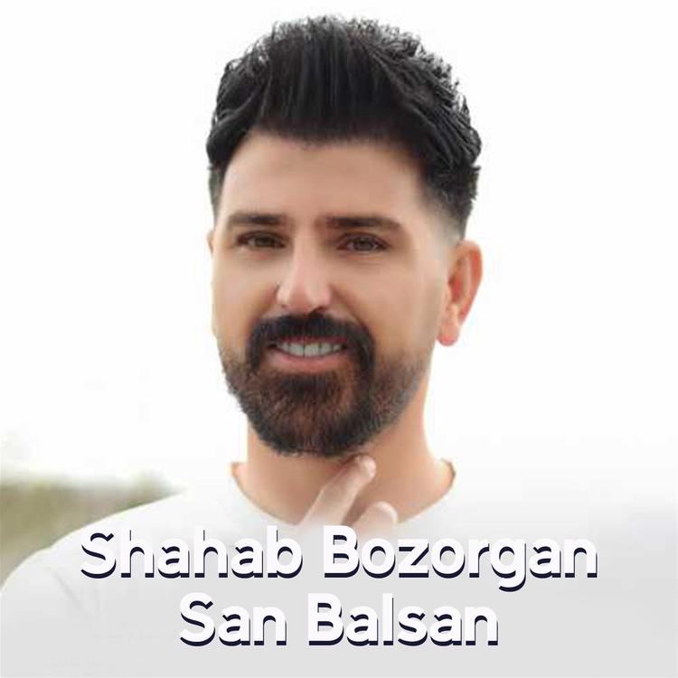 Shahab Bozorgan's avatar image